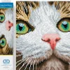 MADNESS TOYS Diamond Dotz Diamond Painting Gato Ojos Verdes- Manualidades