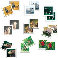 DISET Memo Photo Animals- Juegos Y Juguetes Educativos