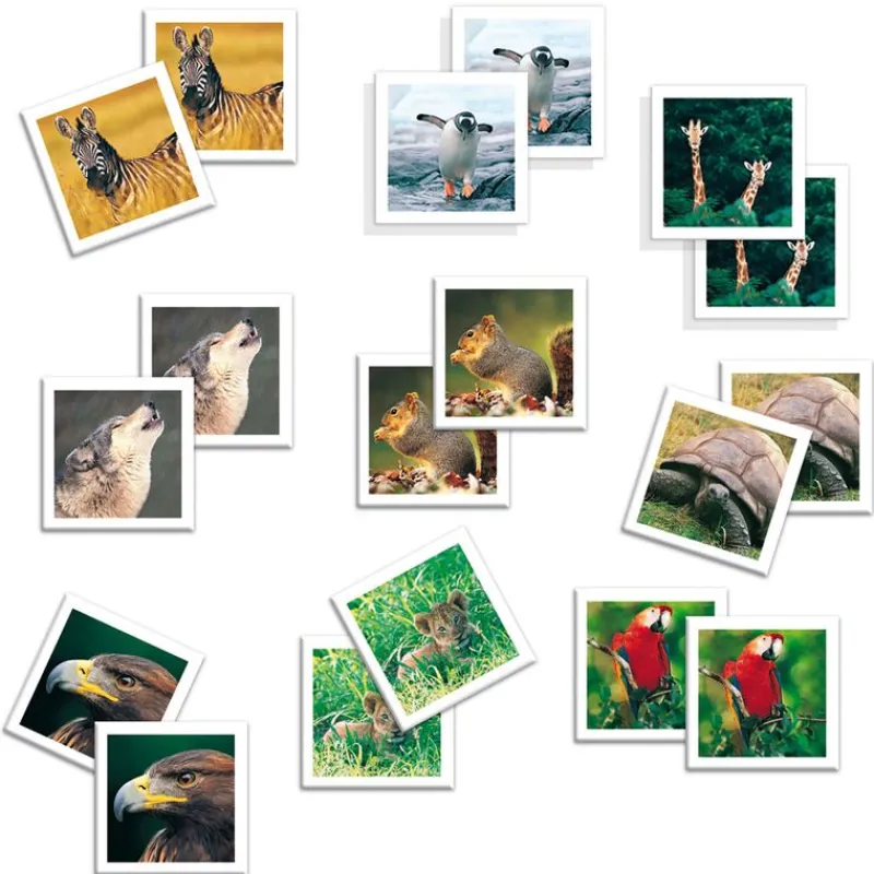 DISET Memo Photo Animals- Juegos Y Juguetes Educativos