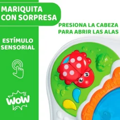 CHICCO Primera Infancia Y Preescolar|Mesa Descubrimientos