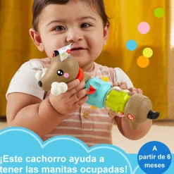 FISHER PRICE Primera Infancia Y Preescolar|Pets Perrito de Actividades con Sonidos y Giros