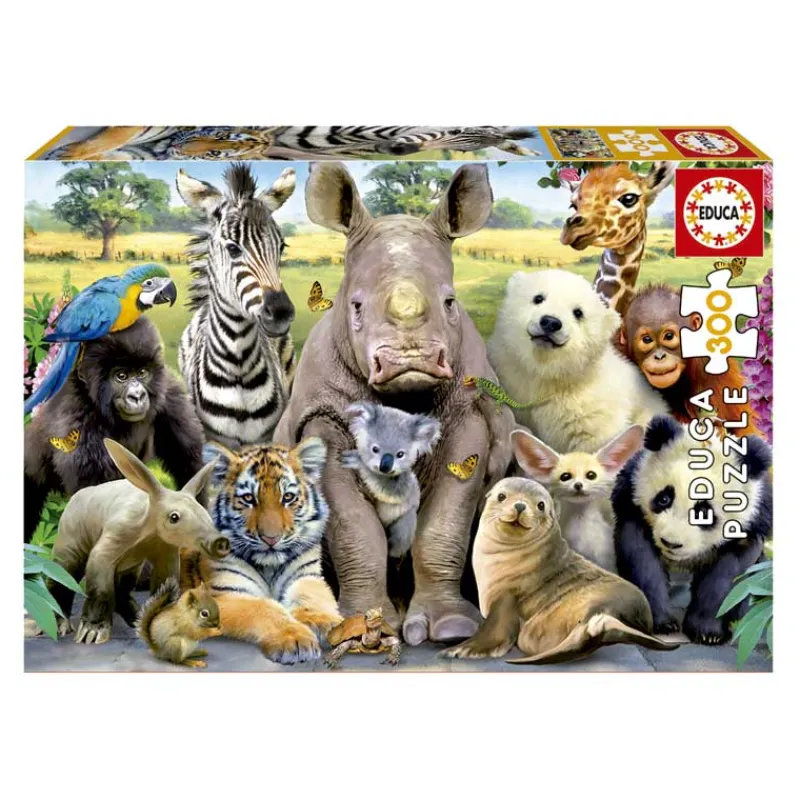 EDUCA Puzzles Y Construcciones|Puzzle 300 Piezas Foto de Clase