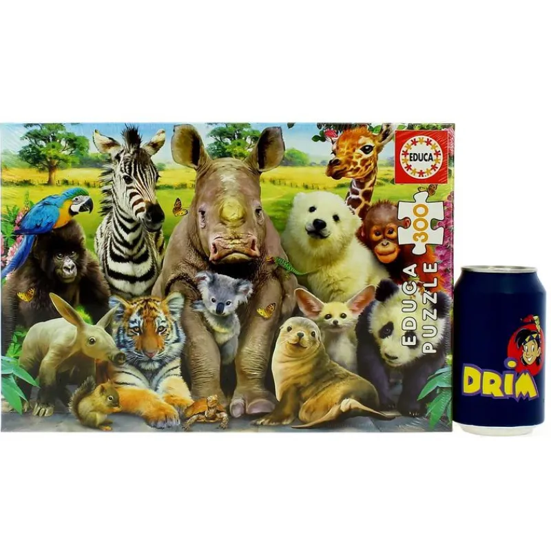 EDUCA Puzzles Y Construcciones|Puzzle 300 Piezas Foto de Clase