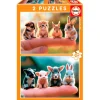 EDUCA Puzzle Bebés Animales 2x20 Piezas- Puzzles Y Construcciones