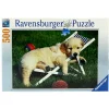 RAVENSBURGER Puzzles Y Construcciones|Puzzle Cachorros Golden Retriver 500 Piezas