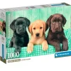 CLEMENTONI Trío de Labradores Puzzle 1000 Piezas- Puzzles Y Construcciones
